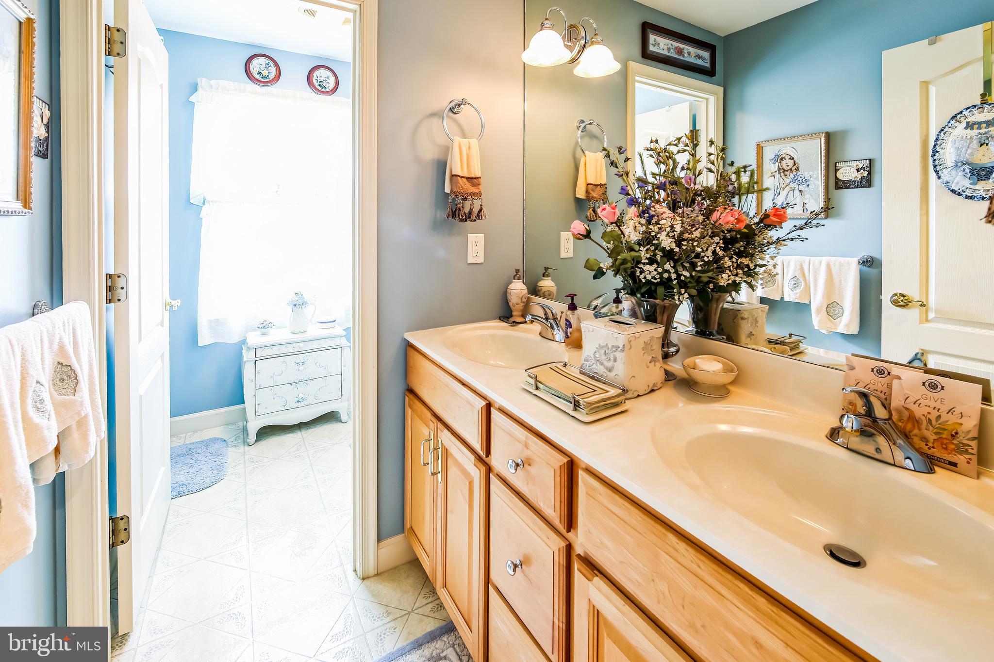 1096 Dexter Corner Road Townsend, DE 19734 - Photo 31 of 67 a bathroom with a sink and a mirror