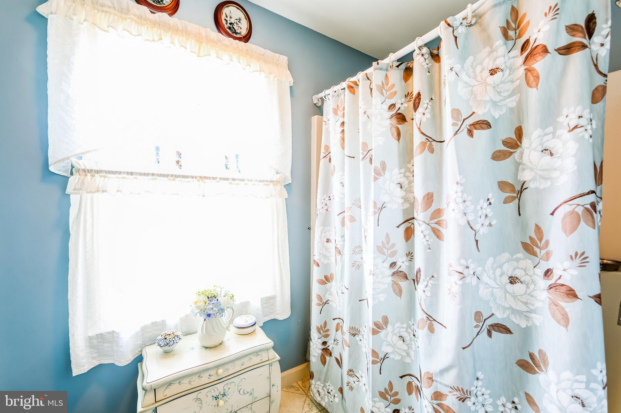 1096 Dexter Corner Road Townsend, DE 19734 - Photo 32 of 67 a bathroom with a bathtub and a shower curtain