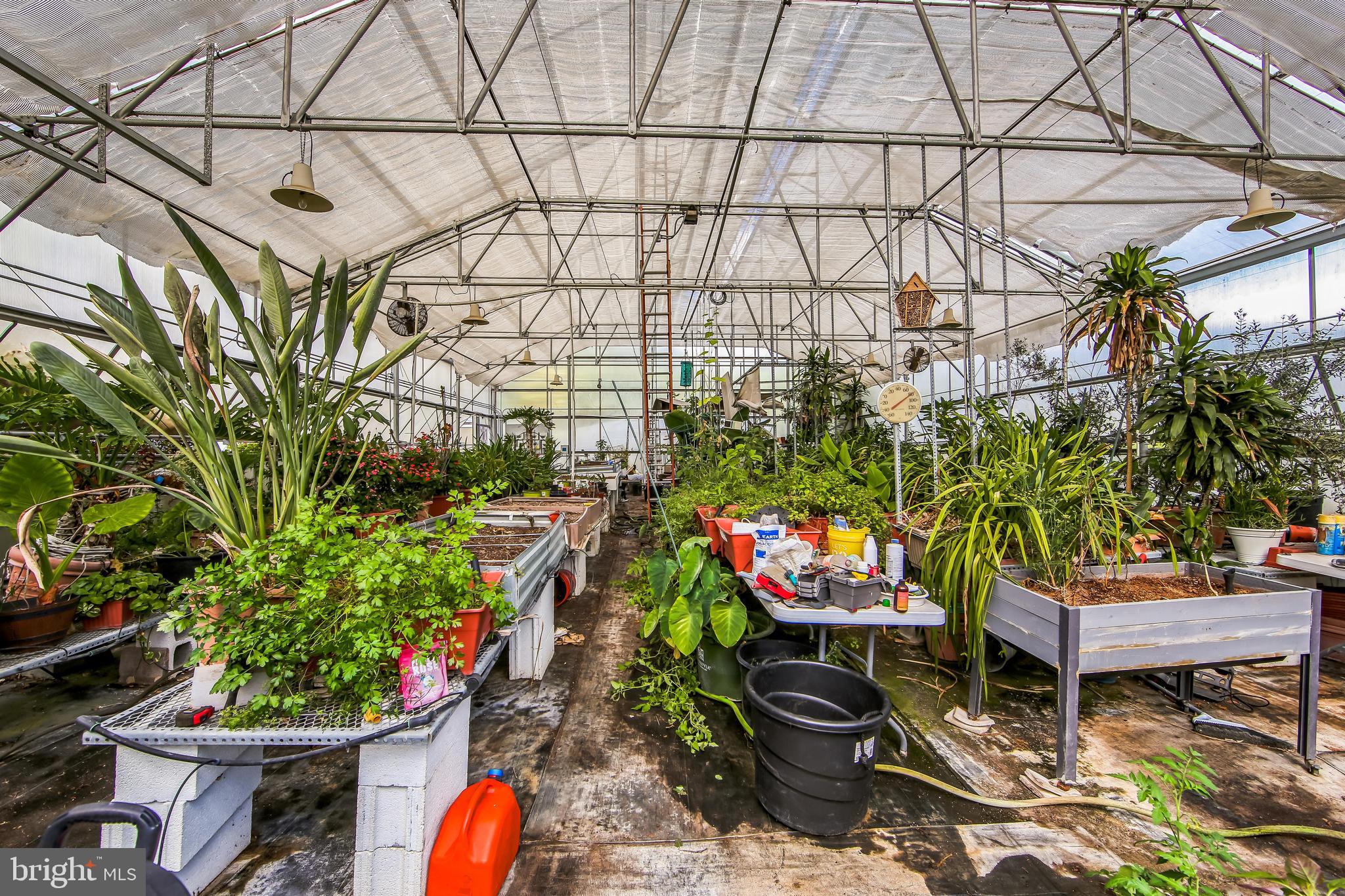 1096 Dexter Corner Road Townsend, DE 19734 - Photo 51 of 67 60 x 40 climate controled greenhouse