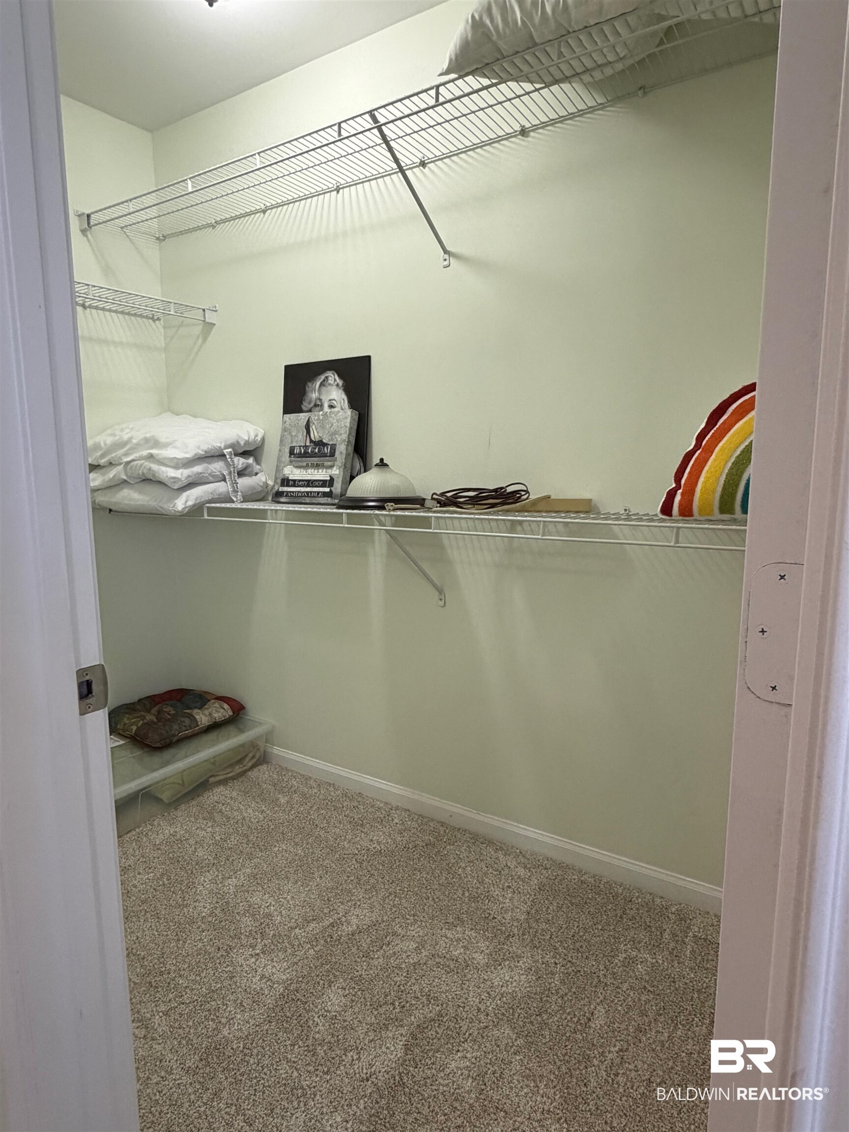 1517 Regency Road, Unit 71 Gulf Shores, AL 36542 - Photo 23 of 26 Walk in closet featuring carpet floors