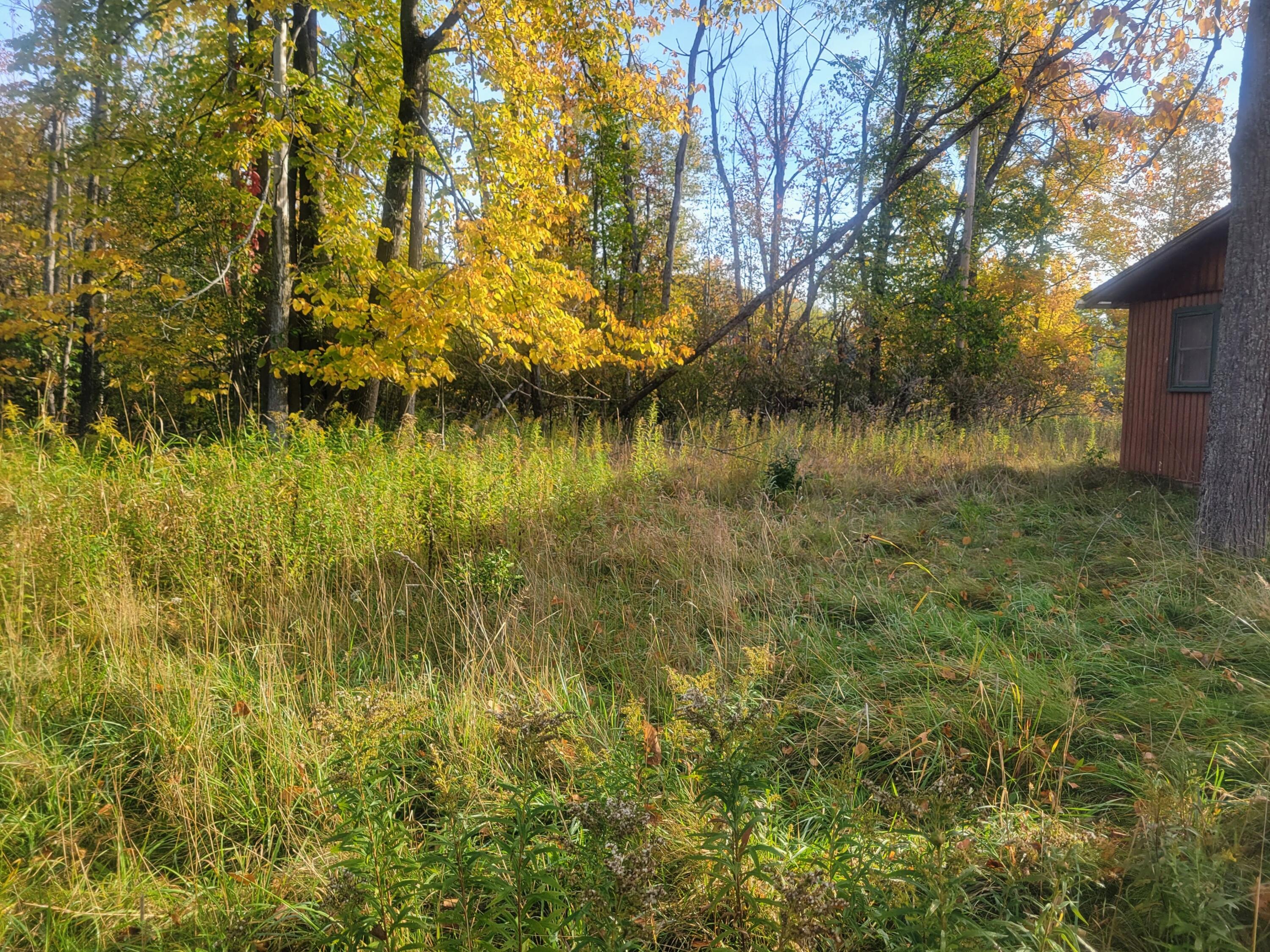 7615 Long Rapids Road Alpena, MI 49707 - Photo 19 of 27 Gallery Image 19