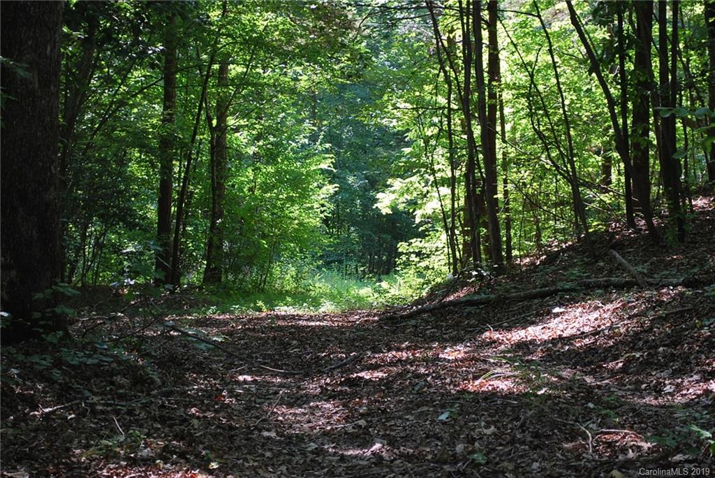 1370 Mollys Backbone Road Catawba, NC 28609 - Photo 11 of 21 Gallery Image 11