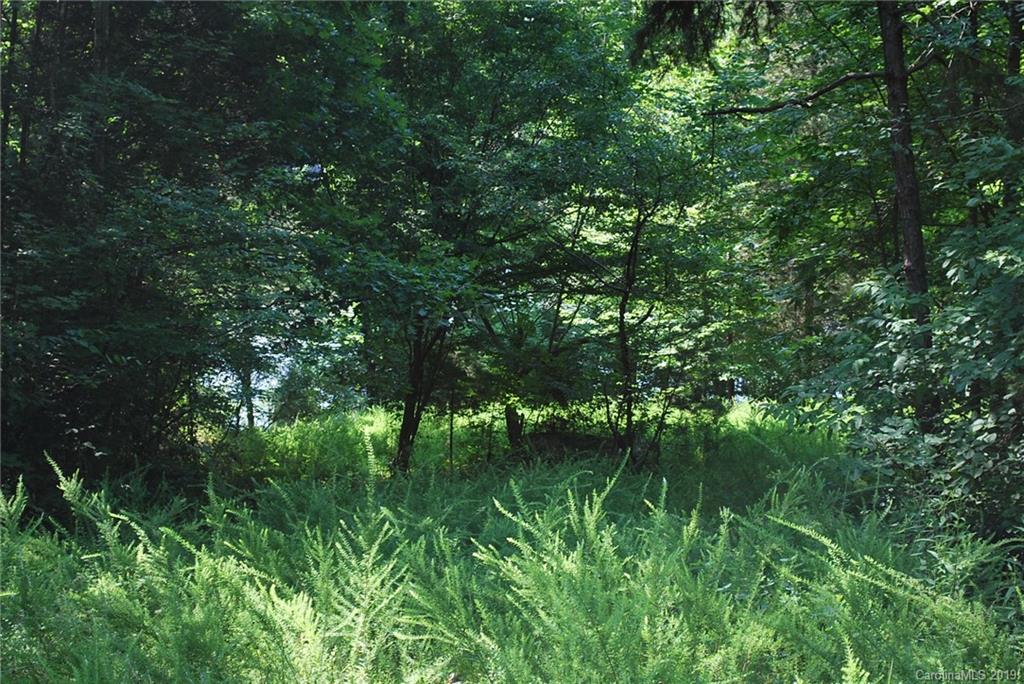 1370 Mollys Backbone Road Catawba, NC 28609 - Photo 12 of 21 Gallery Image 12