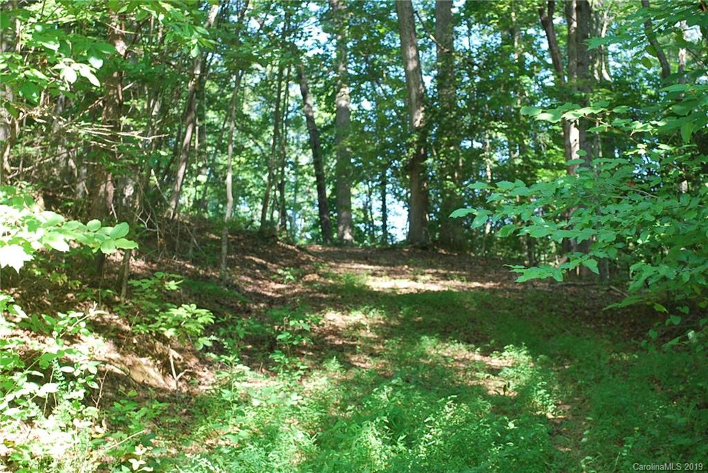 1370 Mollys Backbone Road Catawba, NC 28609 - Photo 14 of 21 Gallery Image 14