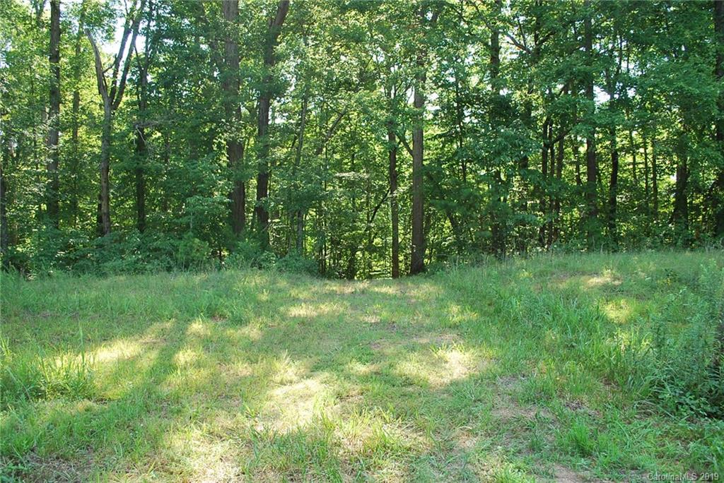 1370 Mollys Backbone Road Catawba, NC 28609 - Photo 6 of 21 Gallery Image 6