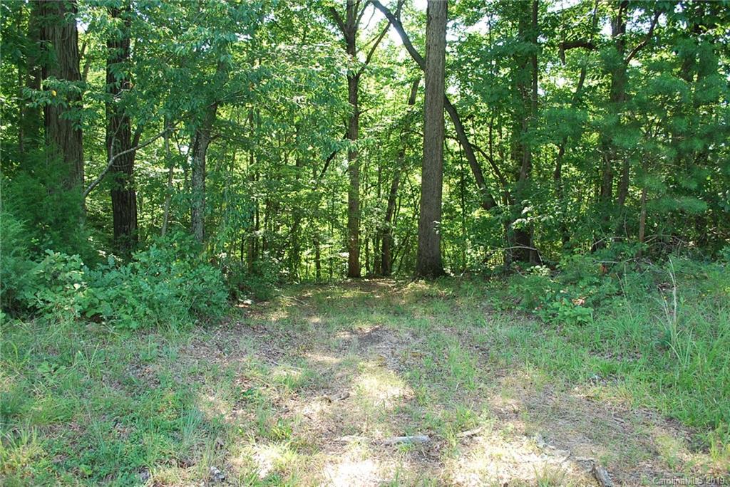 1370 Mollys Backbone Road Catawba, NC 28609 - Photo 7 of 21 Gallery Image 7
