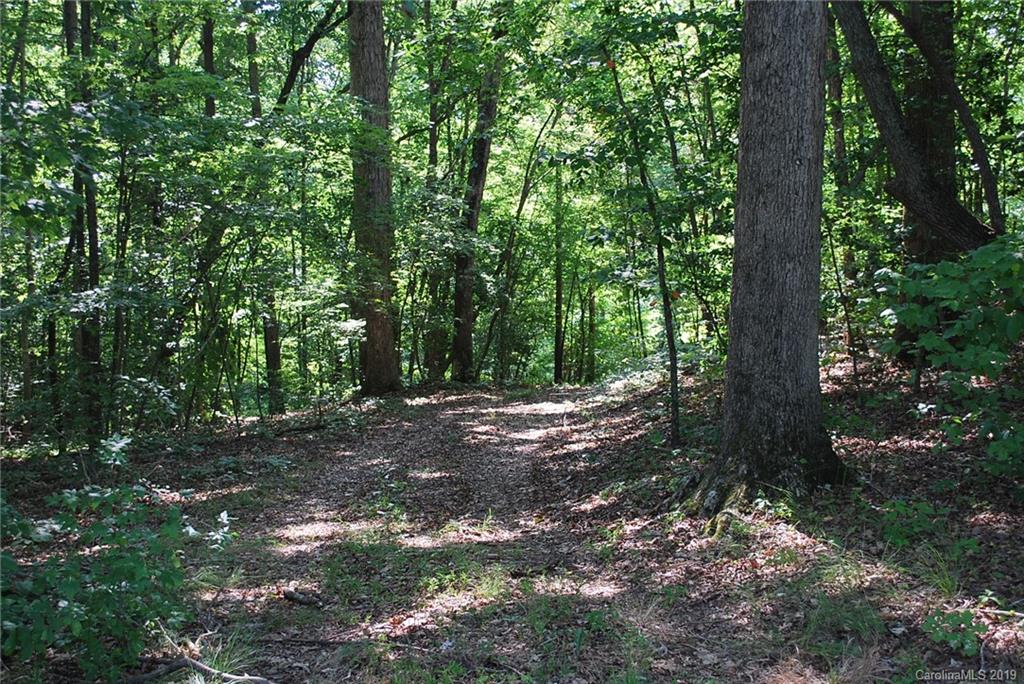 1370 Mollys Backbone Road Catawba, NC 28609 - Photo 8 of 21 Gallery Image 8
