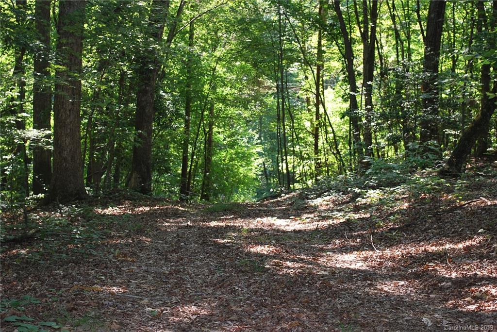 1370 Mollys Backbone Road Catawba, NC 28609 - Photo 9 of 21 Gallery Image 9