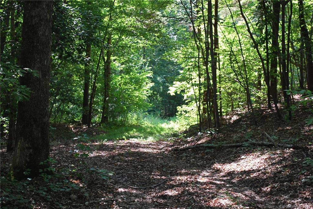 1370 Mollys Backbone Road Catawba, NC 28609 - Photo 10 of 21 Gallery Image 10