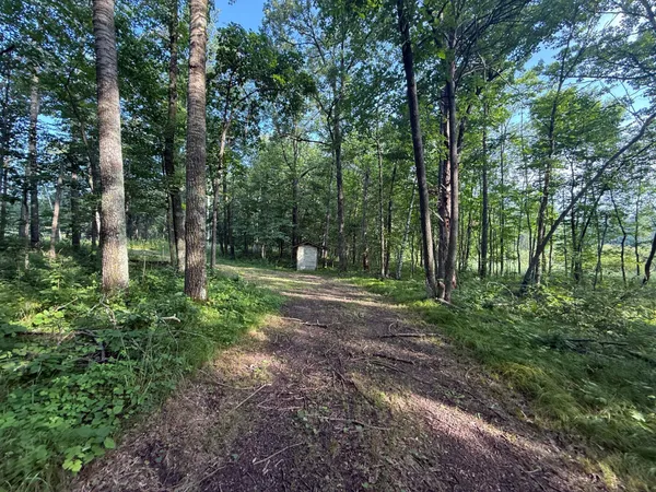 $249,900 | Tbd Tbd Cr-109 Mission, Merrifield, MN 56465