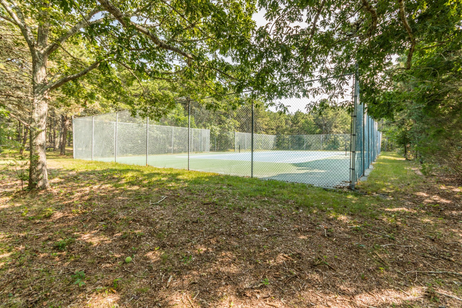 191 Katama Road Edgartown, MA 02539 - Photo 16 of 20 a view of a yard with a tree