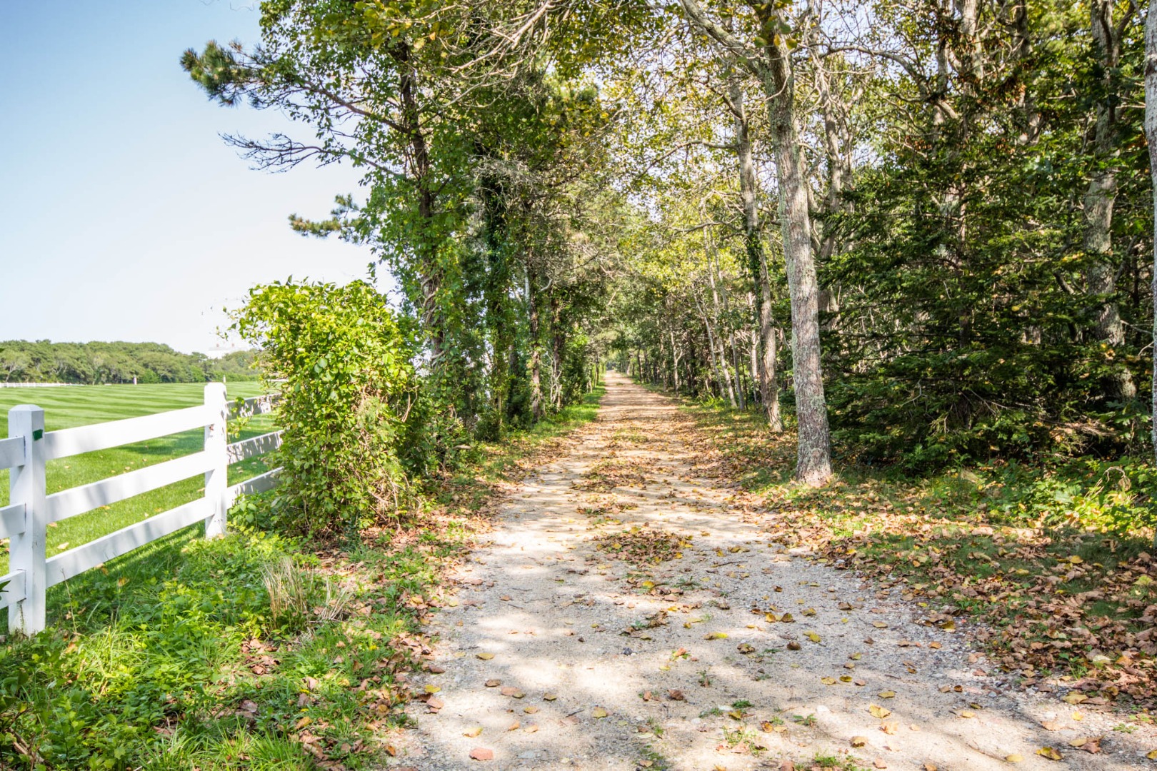 191 Katama Road Edgartown, MA 02539 - Photo 17 of 20 a view of outdoor space and yard