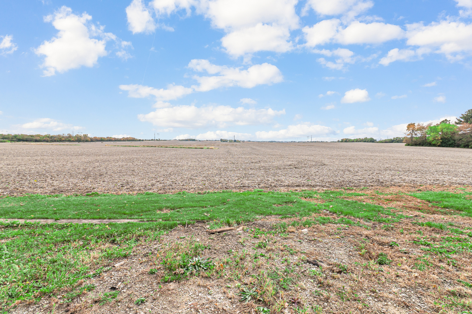 1007 West Corning Road Beecher, IL 60401 - Photo 22 of 22