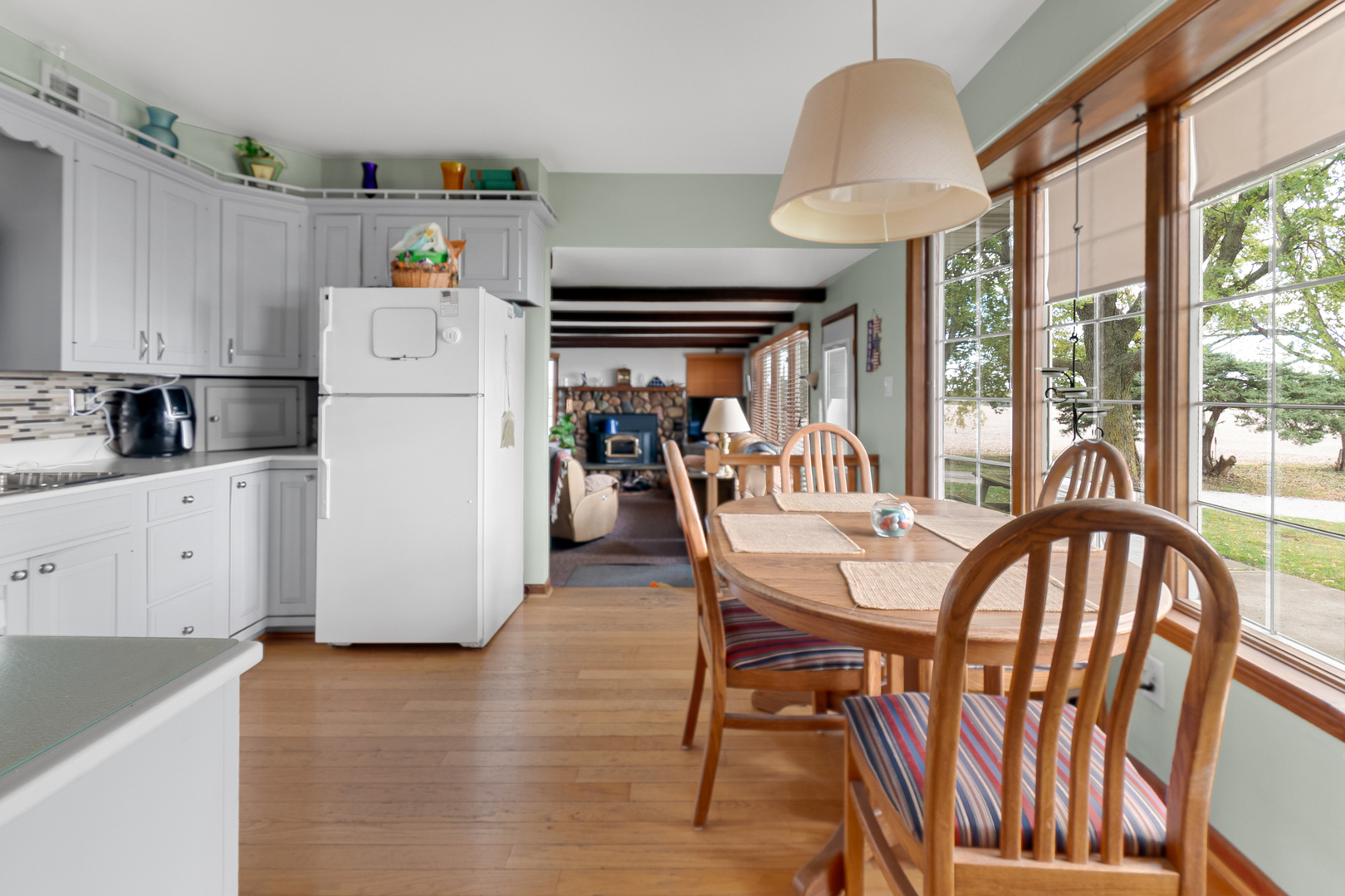 1007 West Corning Road Beecher, IL 60401 - Photo 10 of 22