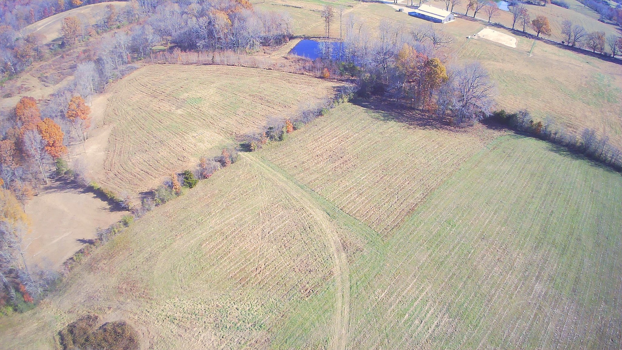 0 Deer Ridge Road Primm Springs, TN 38476 - Photo 13 of 18