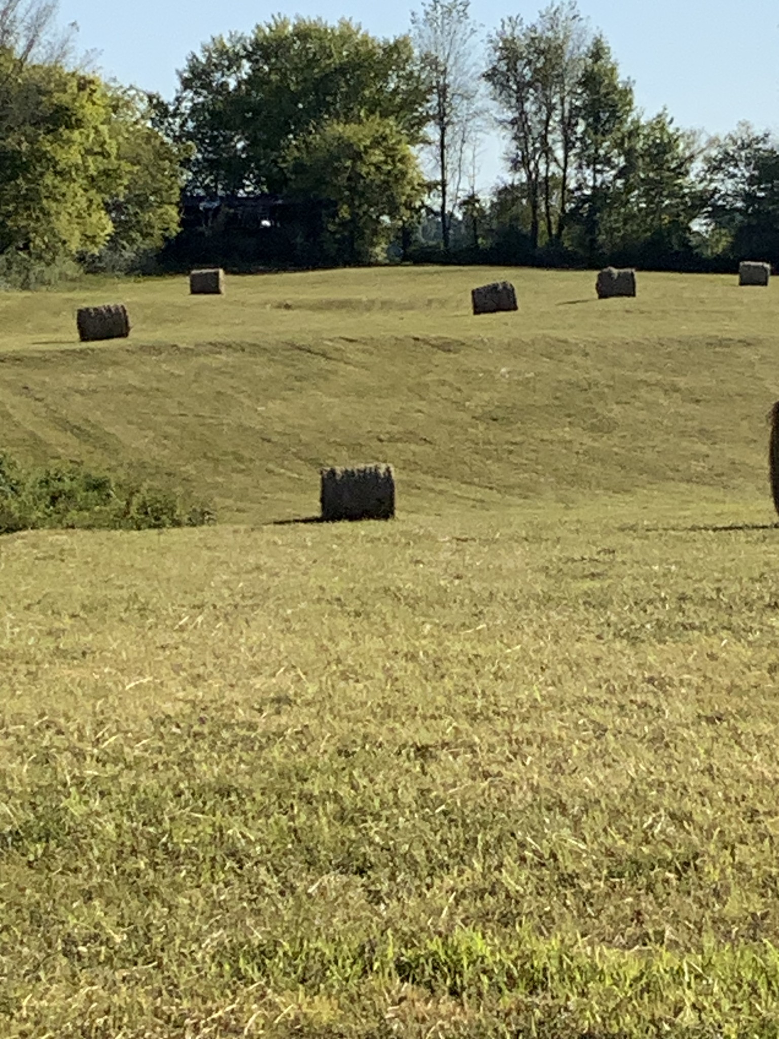 0 Deer Ridge Road Primm Springs, TN 38476 - Photo 14 of 18 a view of ocean with large trees