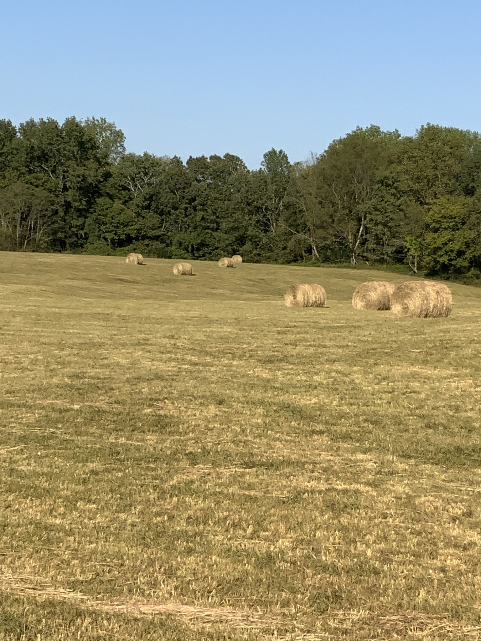 0 Deer Ridge Road Primm Springs, TN 38476 - Photo 16 of 18 a view of a lake view