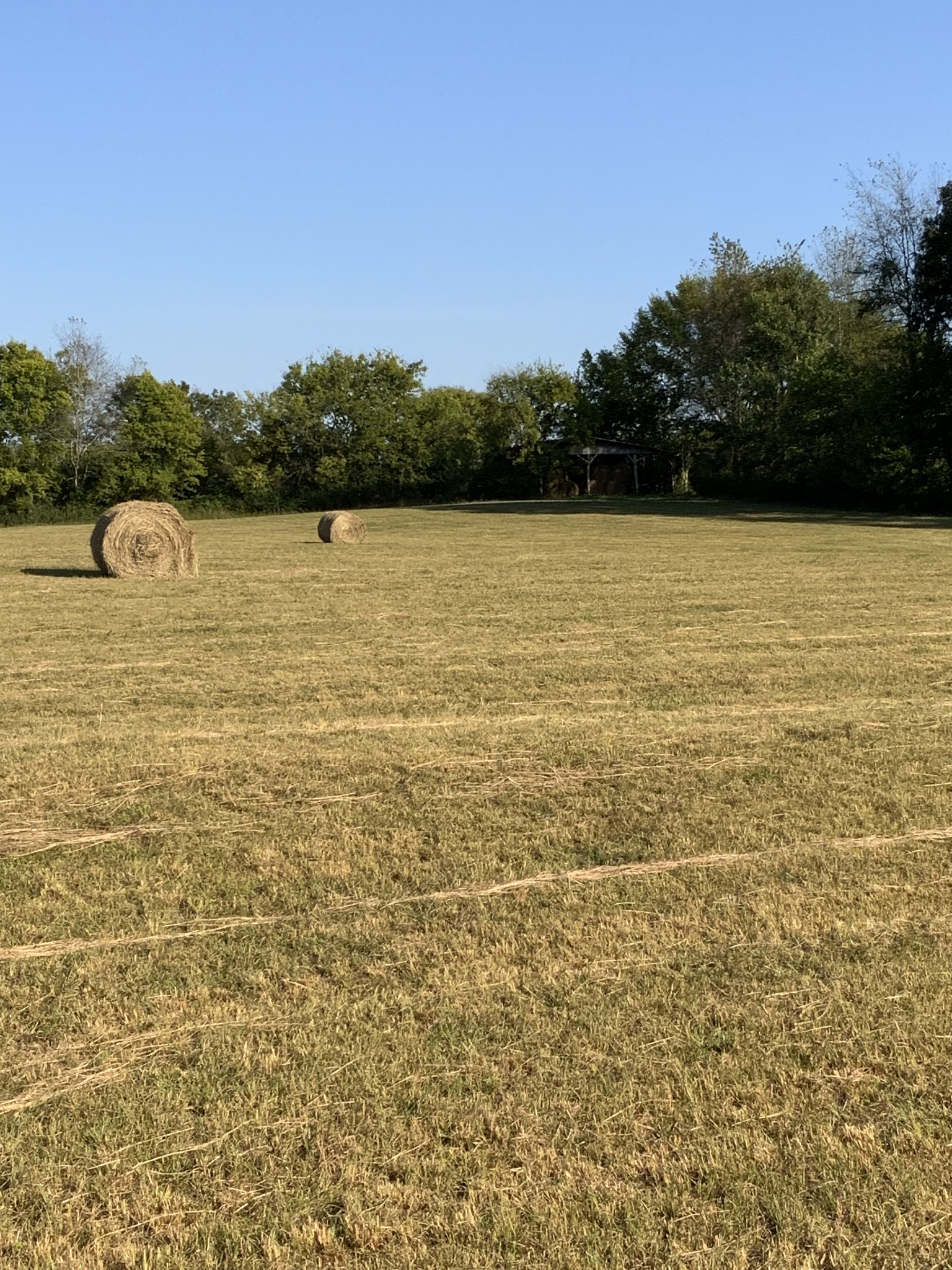 0 Deer Ridge Road Primm Springs, TN 38476 - Photo 17 of 18 a view of a lake view