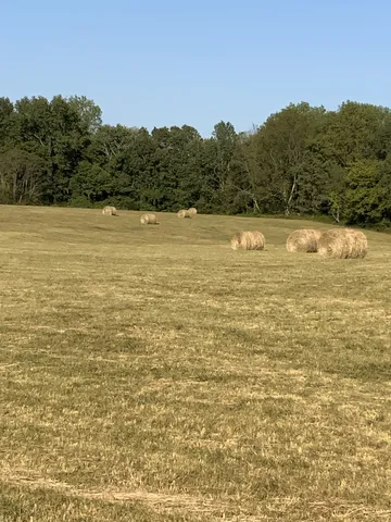 a view of a swimming pool and an outdoor seating