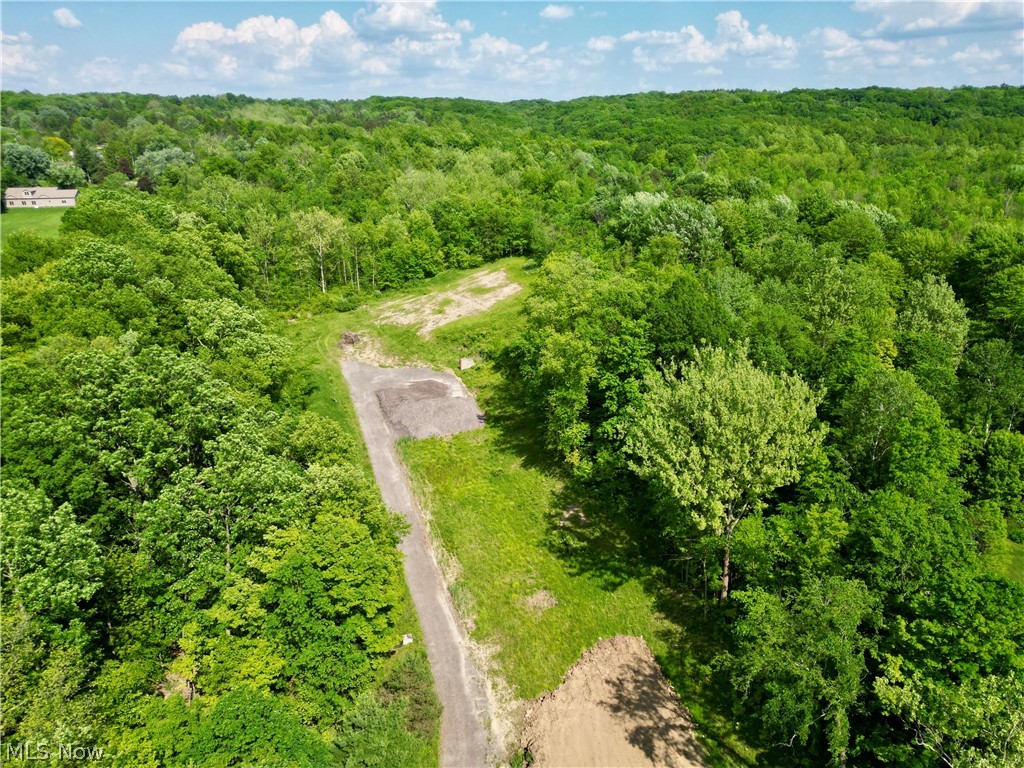 Vl Ridge Road North Royalton, OH 44133 - Photo 6 of 17 View of bird's eye view