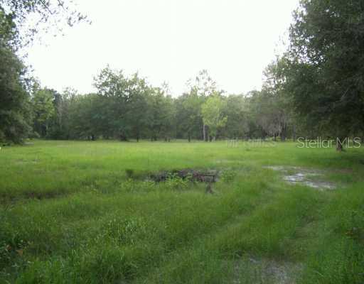 33243 Mandrake Road Wesley Chapel, FL 33543 - Photo 1 of 1 Exterior Front