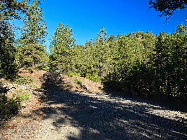 Tbd Sunrise Drive Reed Point, MT 59069 - Photo 2 of 8 Gallery Image 2