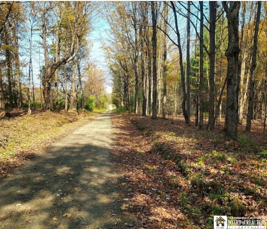 0 Hooker Road Hunt, NY 14846 - Photo 1 of 1