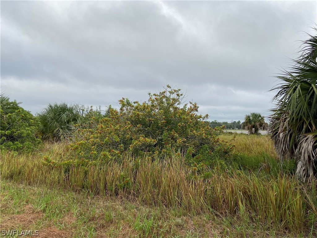 2205 Park Road Lehigh Acres, FL 33971 - Photo 2 of 7 a view of a lake