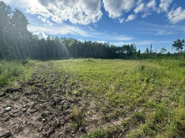 Tbd North Moose Lake Road Northeast Pennington, MN 56663 - Photo 12 of 26