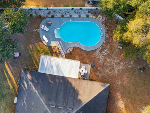 a view of a swimming pool with a chair and a potted plant