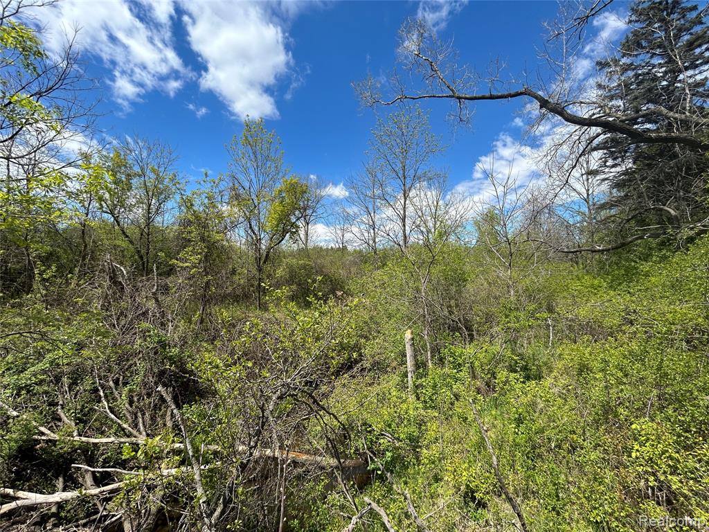 2356 South Dye Road Flint, MI 48532 - Photo 17 of 20