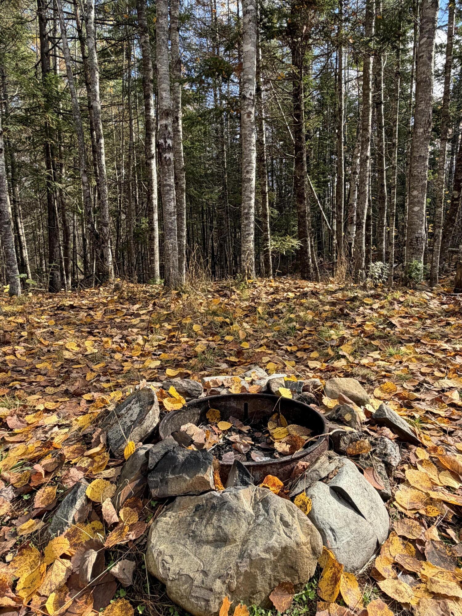 76 Wolf Run Trail Greenbush, ME 04418 - Photo 17 of 20 Fire Ring