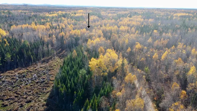 $150,000 | 76 Wolf Run Trail, Greenbush, ME 04418