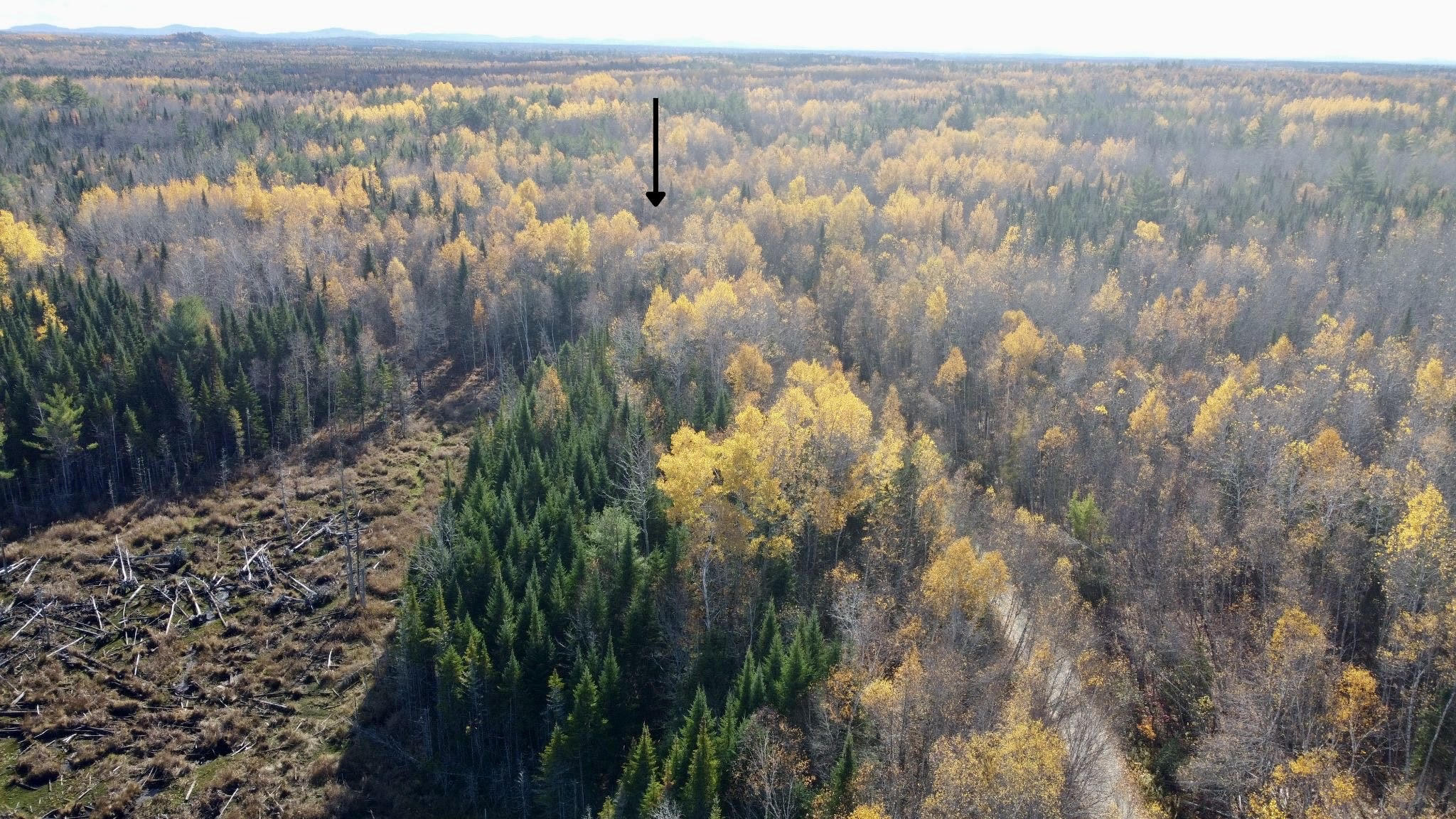 76 Wolf Run Trail Greenbush, ME 04418 - Photo 2 of 20 Aerial