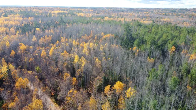 $150,000 | 76 Wolf Run Trail, Greenbush, ME 04418