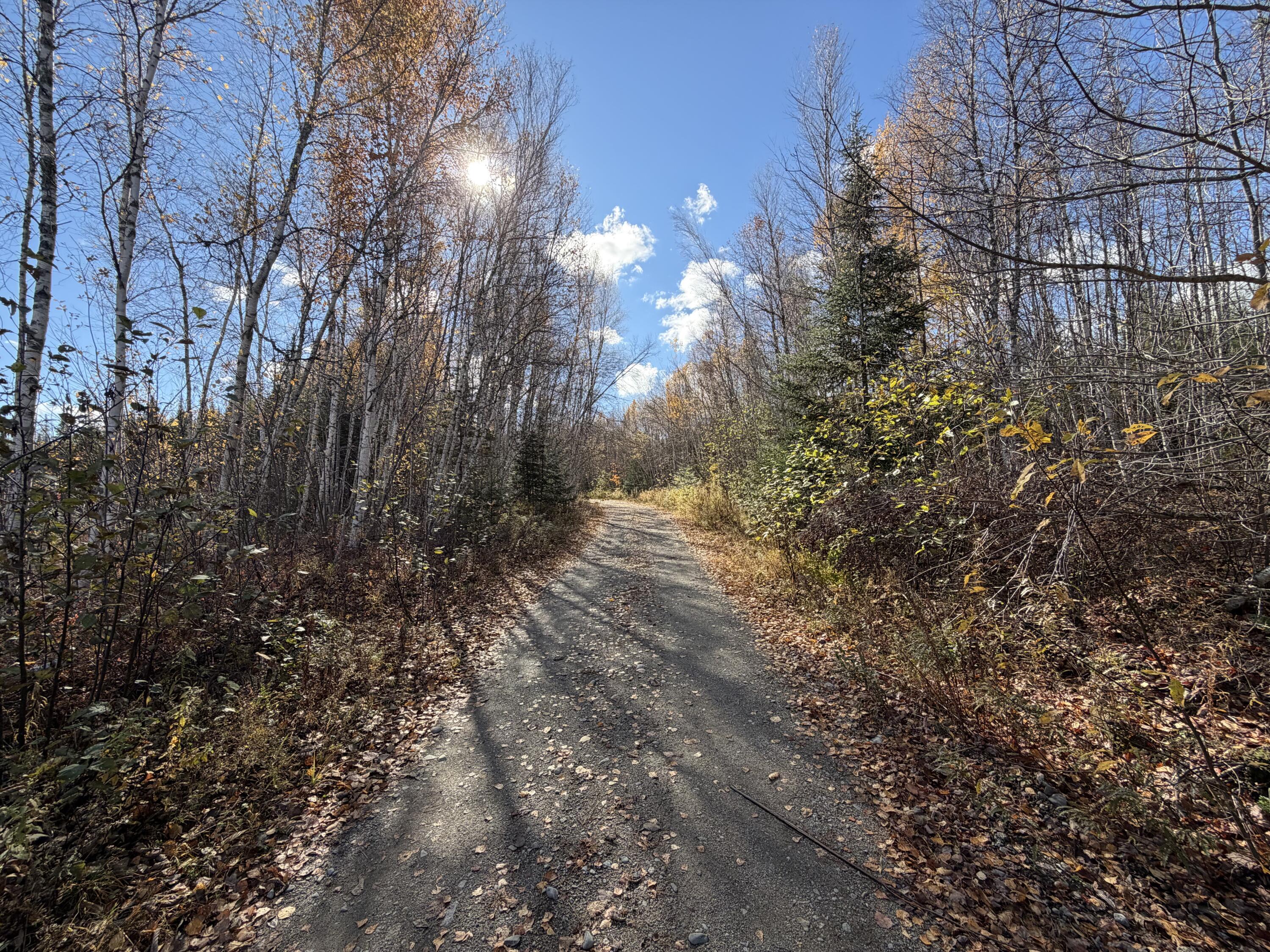 76 Wolf Run Trail Greenbush, ME 04418 - Photo 4 of 20 Road into Camp