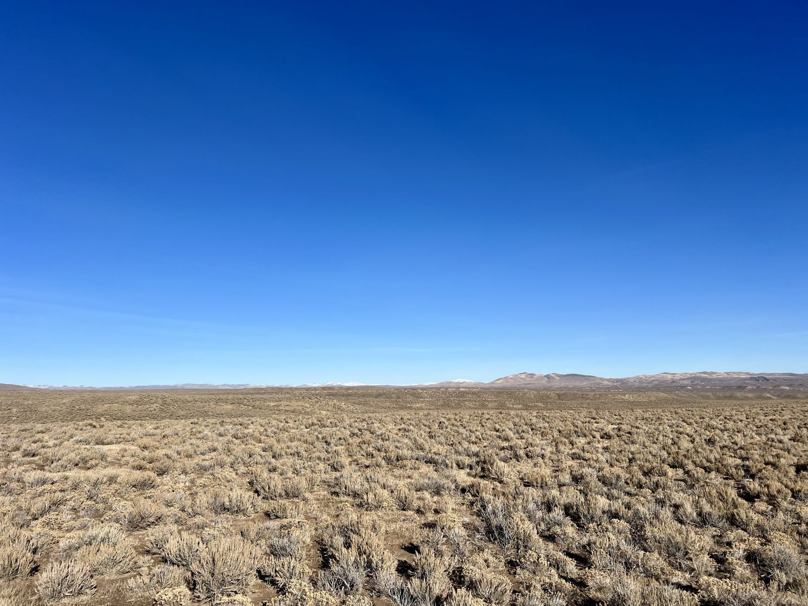Coal Mine Road Elko, NV 89801 - Photo 1 of 8