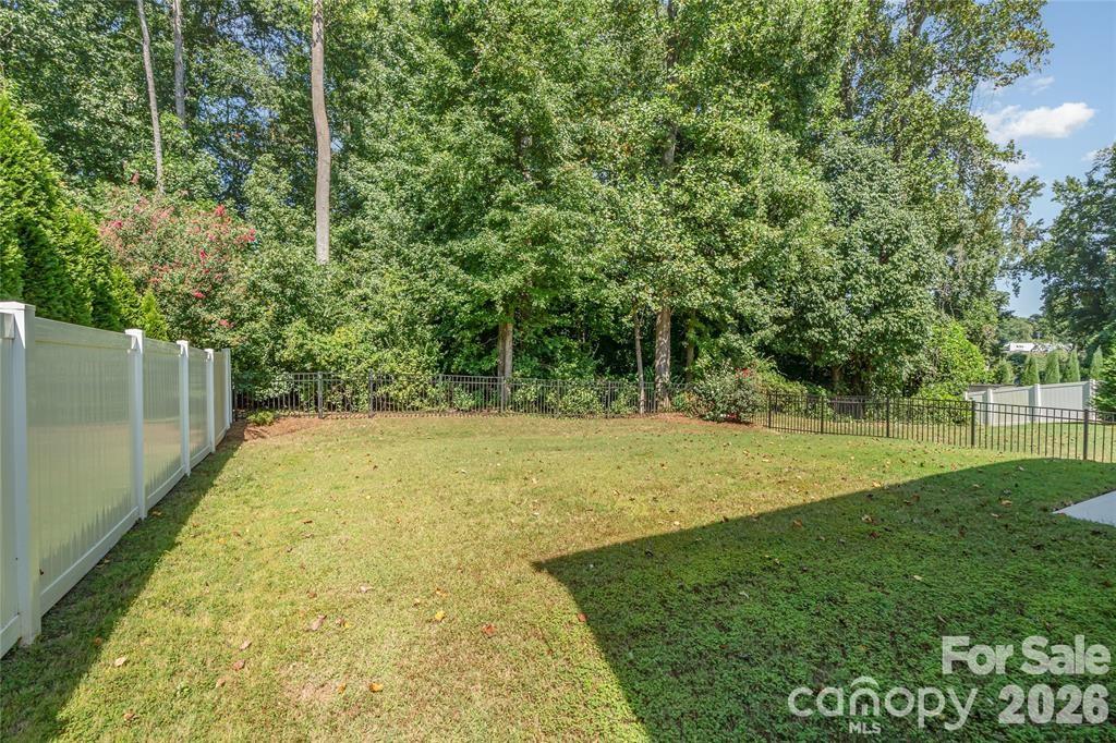 1528 Spring Blossom Trail Fort Mill, SC 29708 - Photo 29 of 30