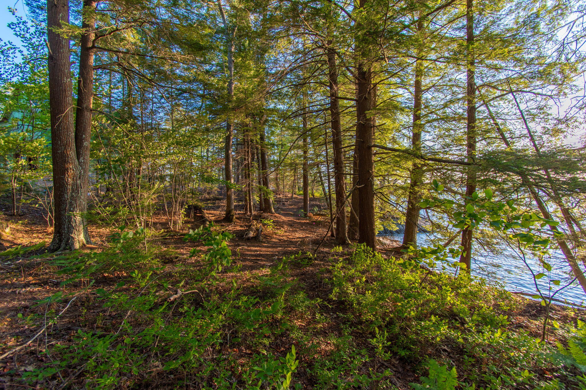 Lot 2 Fah Way Woolwich, ME 04579 - Photo 8 of 17 web_chops-point-144