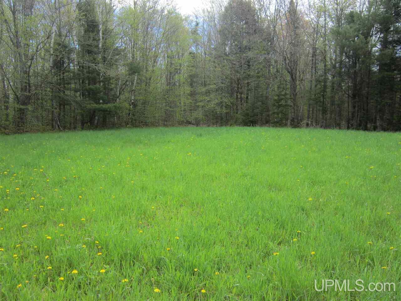 Lot 3 Ridge Road Munising, MI 49862 - Photo 3 of 4 Gallery Image 3