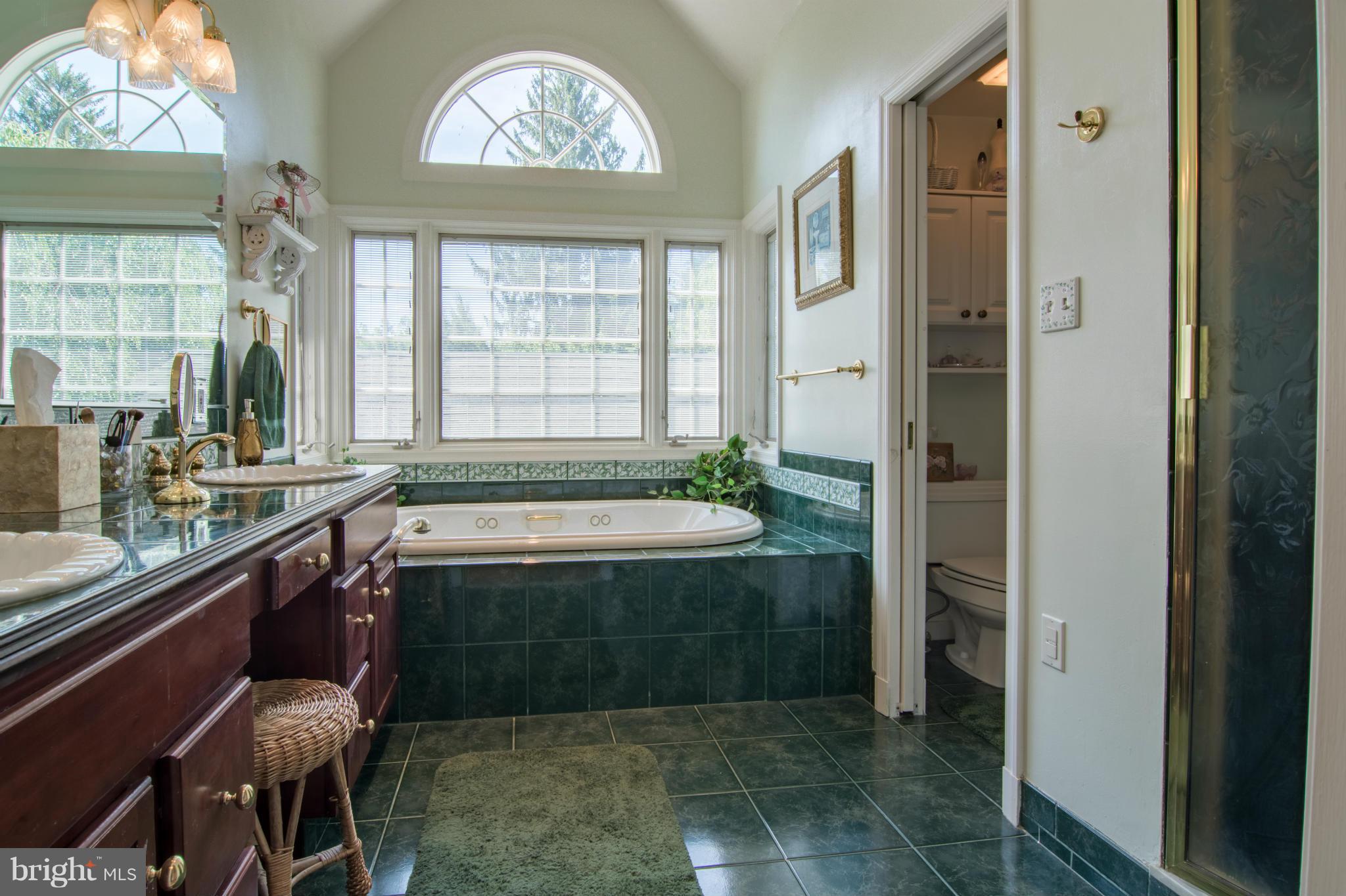 56 Old Hanover Road Reisterstown, MD 21136 - Photo 21 of 30 BATH W/ TUB W/ JETS