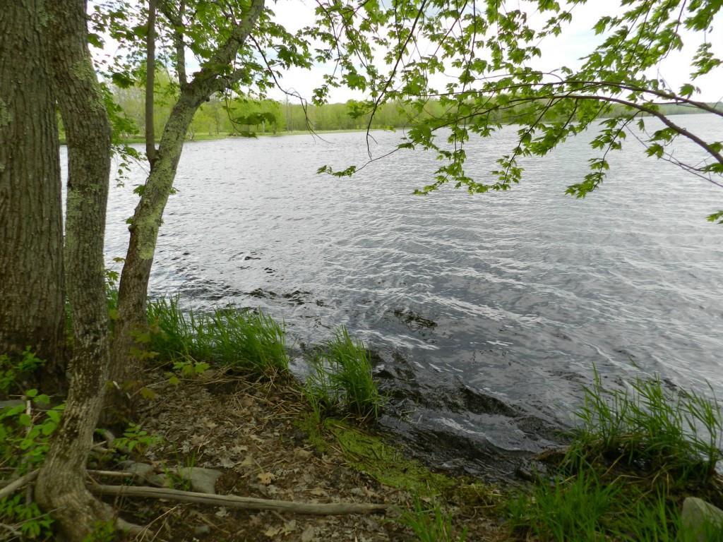 0 Mount Road Pittsfield, ME 04967 - Photo 15 of 25 Photo