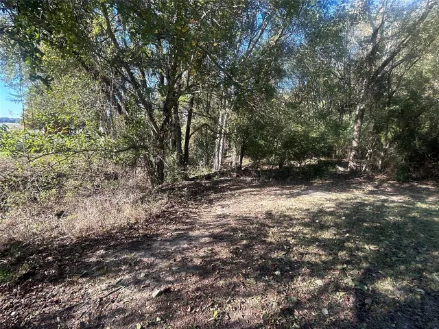 a view of outdoor space and yard