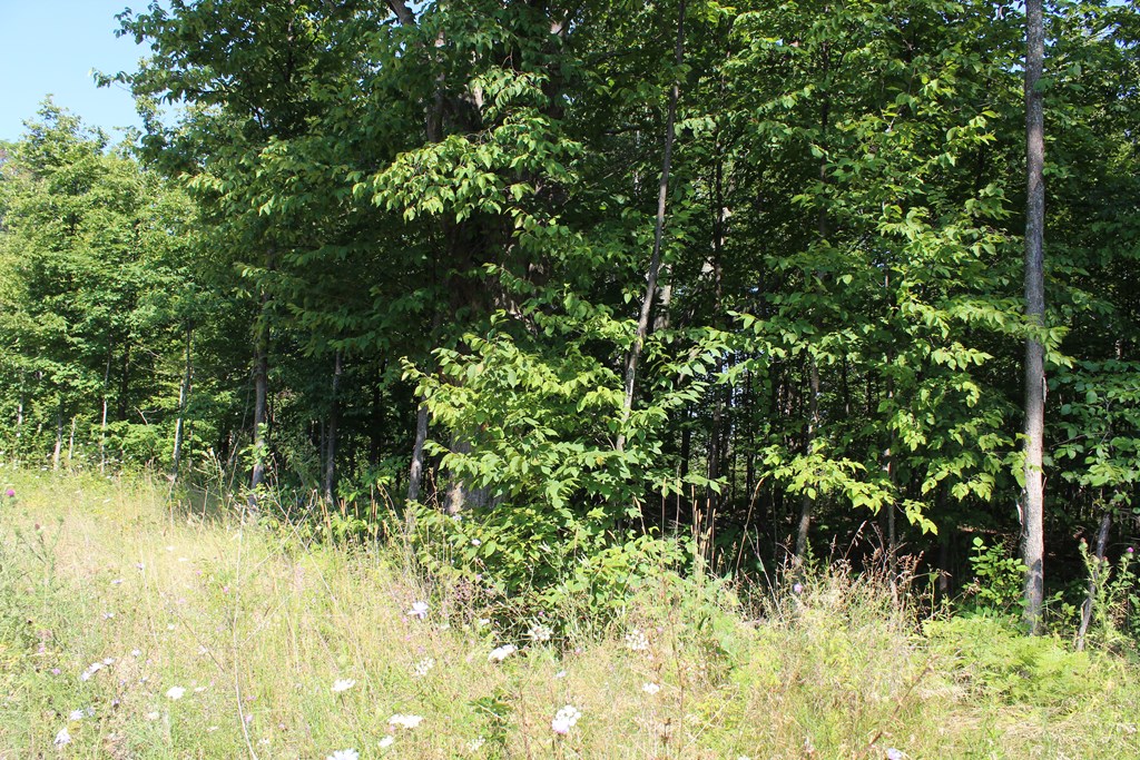 Lot A2 Humbug Road Ellison Bay, WI 54210 - Photo 3 of 10