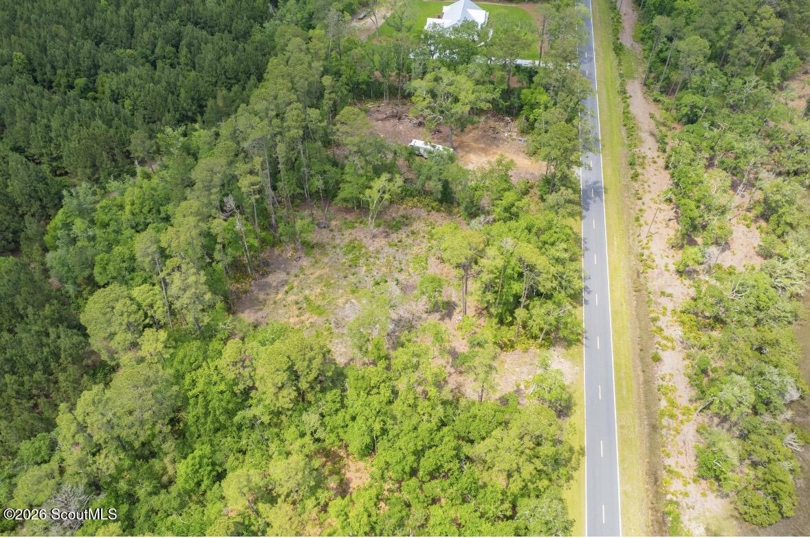0 Piney Bluff Road Waverly, GA 31565 - Photo 21 of 26 IMG_9123