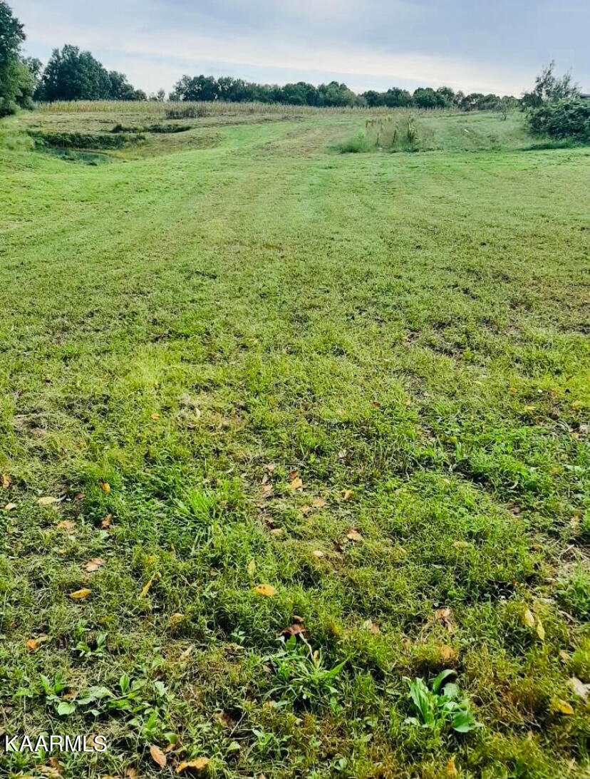1231 Snodgrass Road New Tazewell, TN 37825 - Photo 3 of 23 02