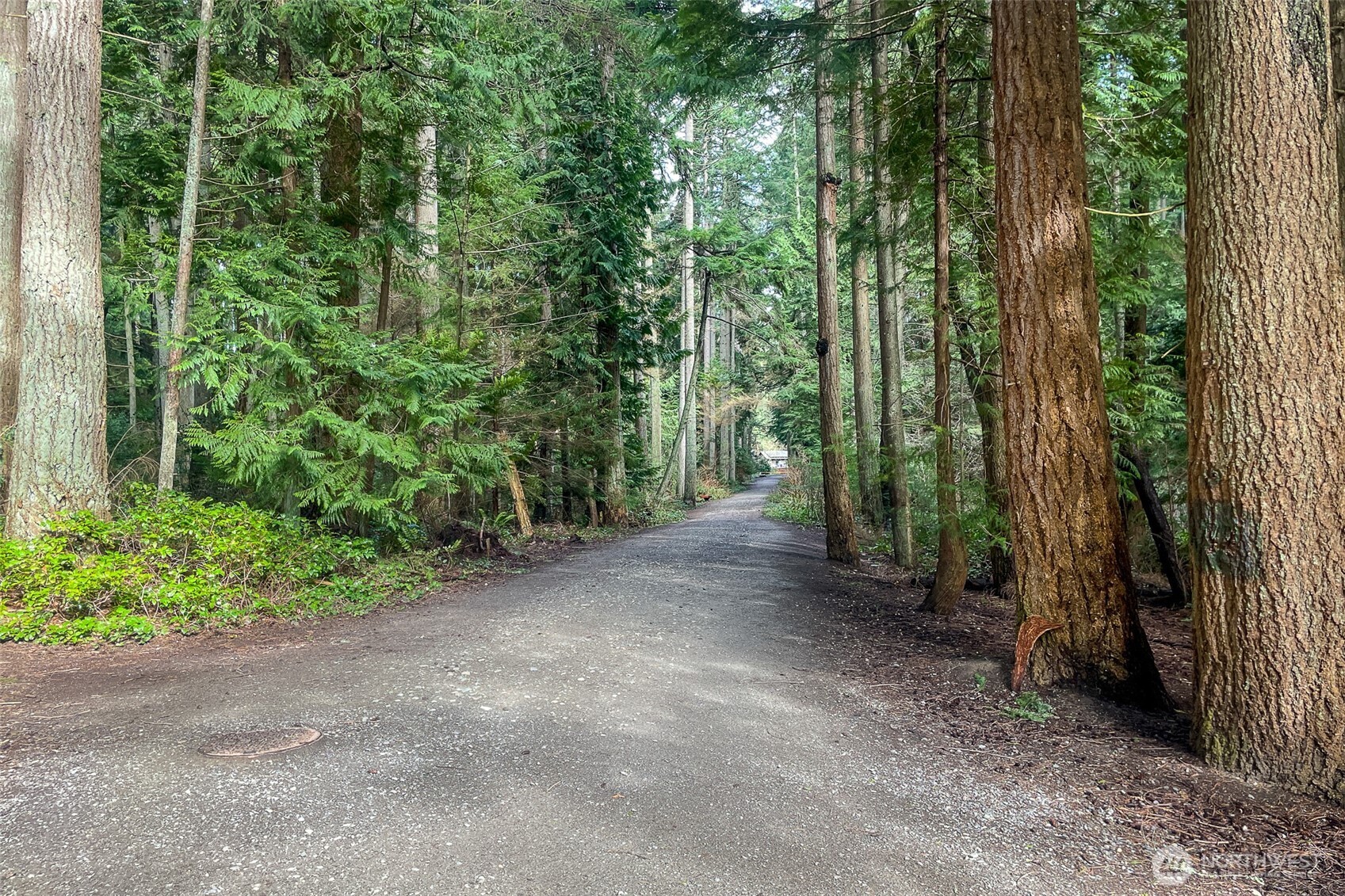 21007 Pioneer Way Edmonds, WA 98026 - Photo 25 of 27 a view of a forest with trees in the background