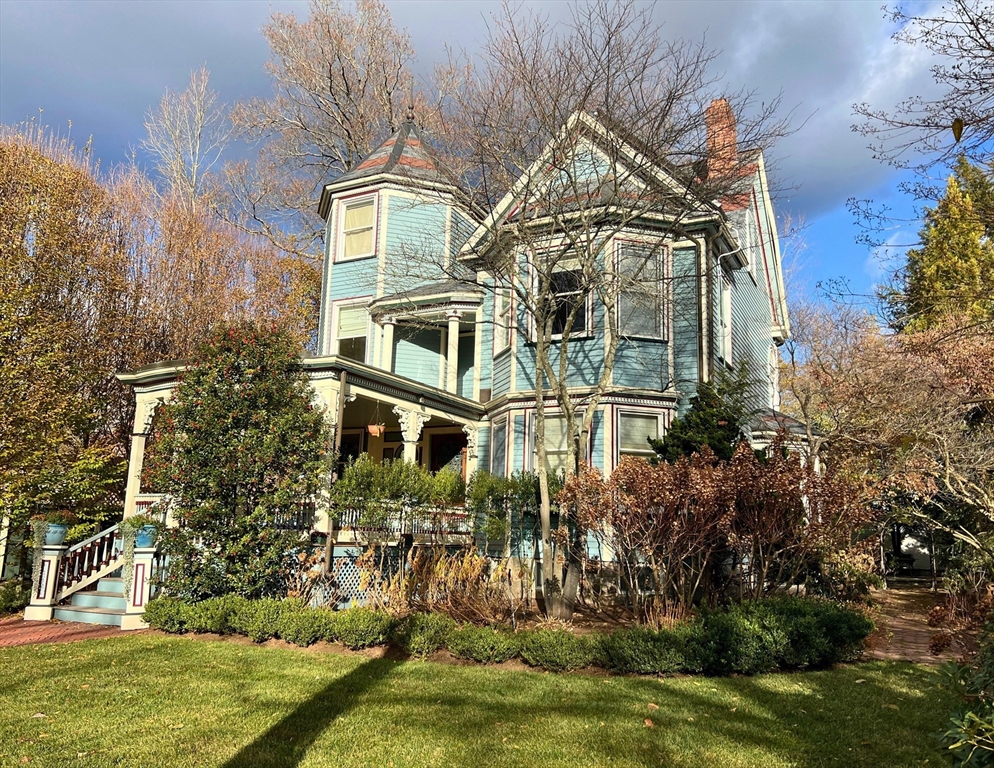 a view of a big yard with plants and large trees