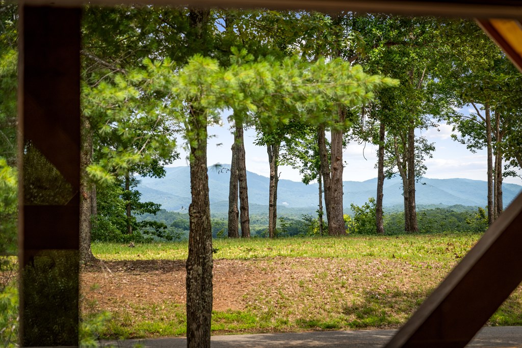 32 Hope Drive Blue Ridge, GA 30513 - Photo 3 of 132 Gallery Image 3
