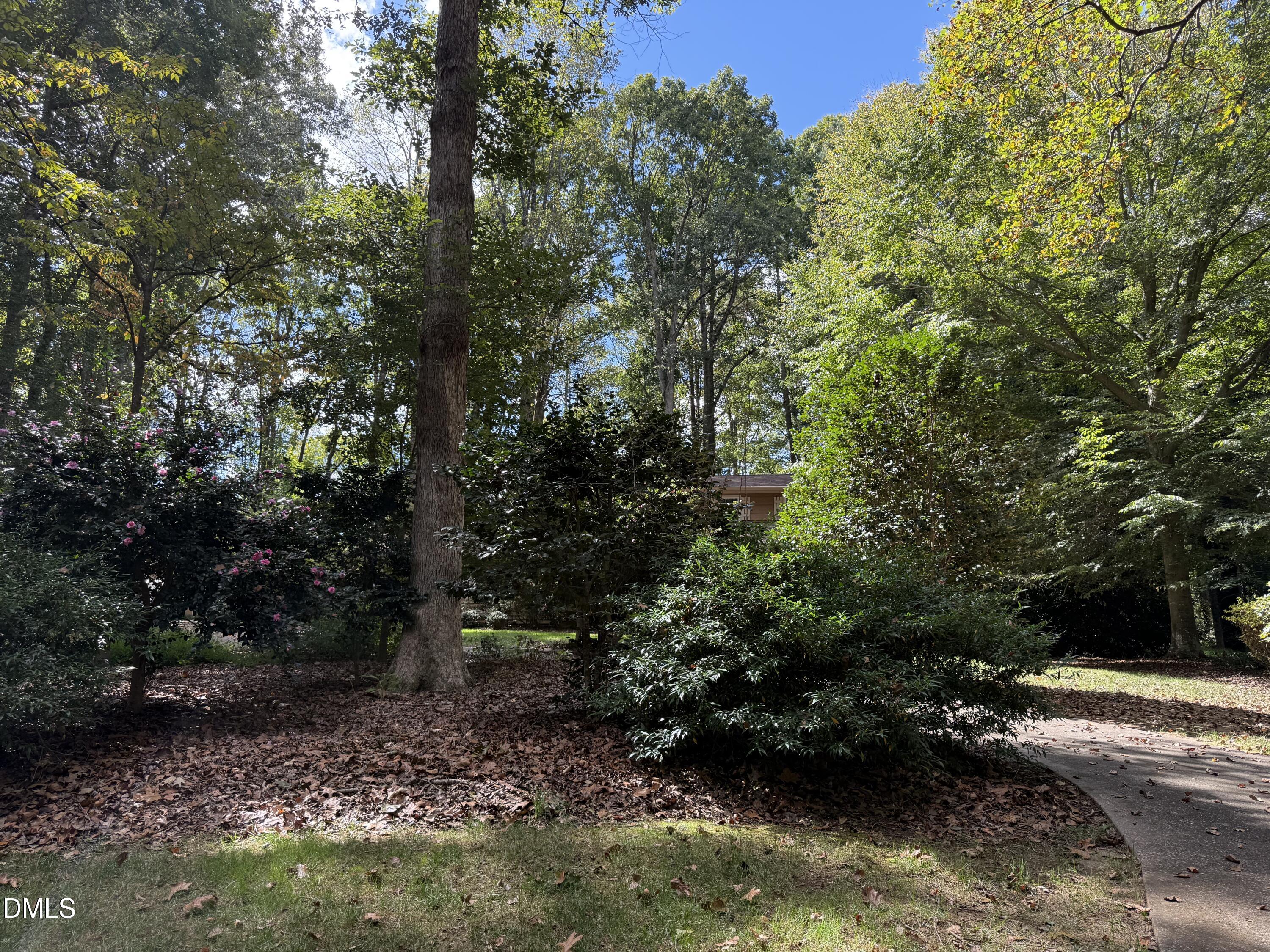 120 Keeter Circle Wake Forest, NC 27587 - Photo 25 of 36 a view of backyard with green space